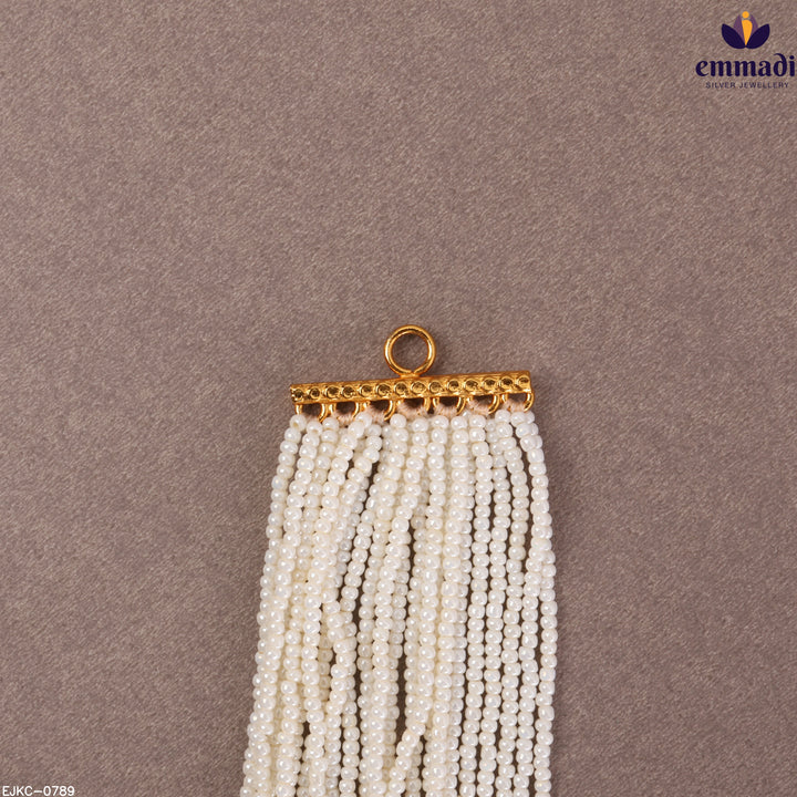 Long Necklace Victorian